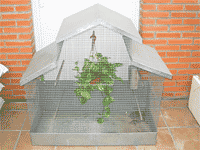 Terrario grande exterior