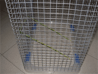 Cables para trepar 2